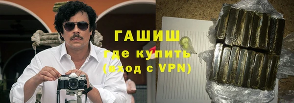 прущие грибы Бородино