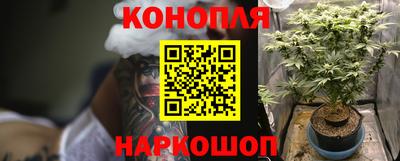 мяу мяу мука Краснознаменск