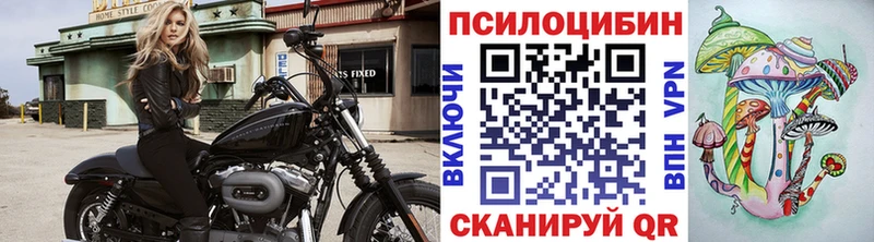Галлюциногенные грибы Psilocybine cubensis Кировск