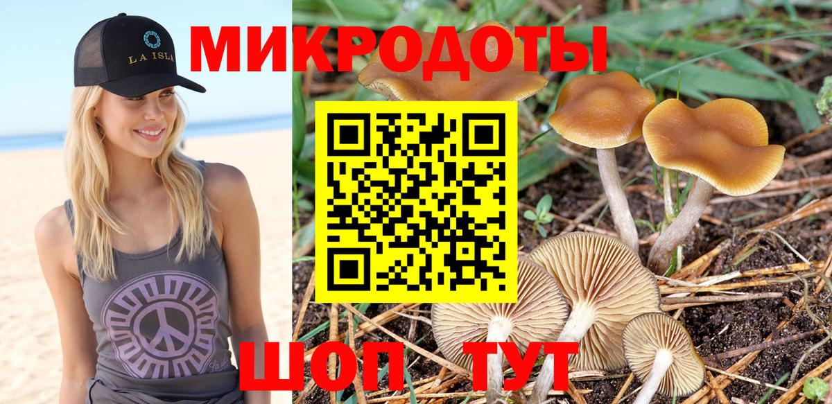 Псилоцибиновые грибы GOLDEN TEACHER Кировск