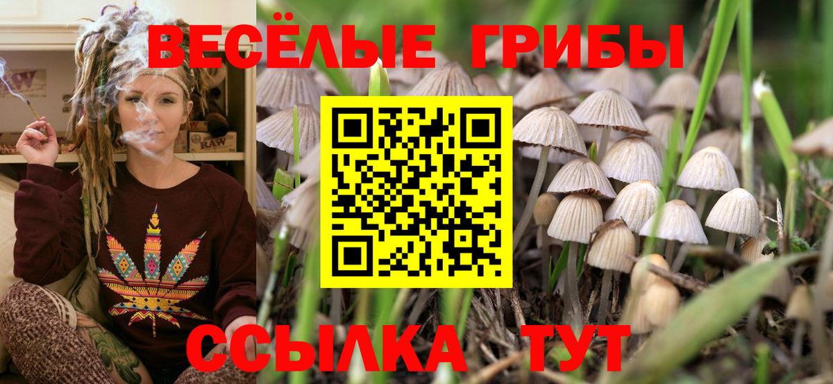 Кировск  Галлюциногенные грибы мухоморы  Вход с VPN 